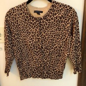 Express brand leopard cardigan